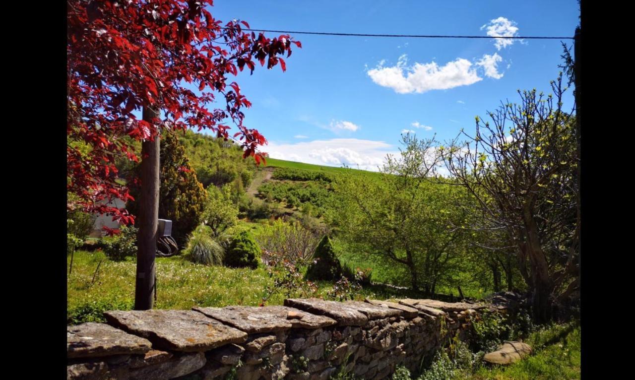 Agriturismo Locanda Dei Cacciatori Dogliani Εξωτερικό φωτογραφία